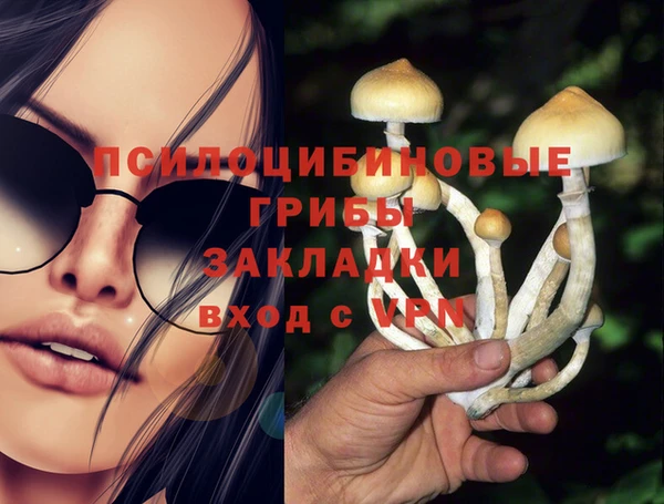 мяу мяу кристалл Каменногорск
