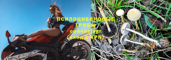 мяу мяу кристалл Каменногорск