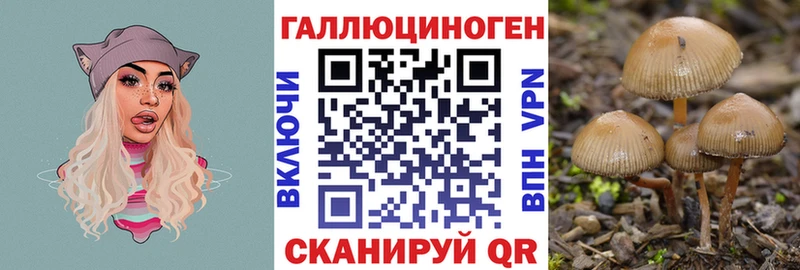 Купить  Зерноград  Галлюциногенные грибы мицелий 